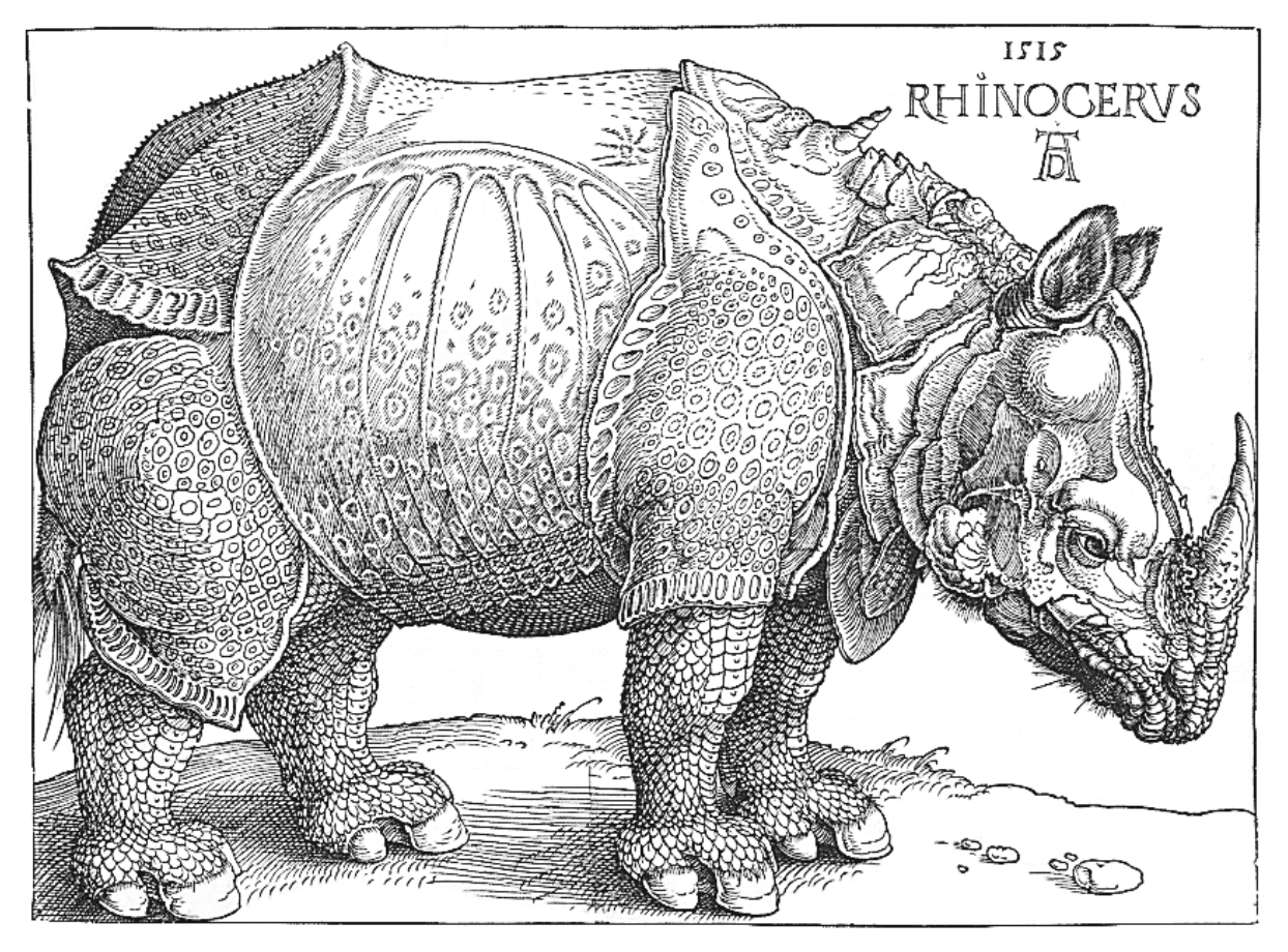 Rhinoceros